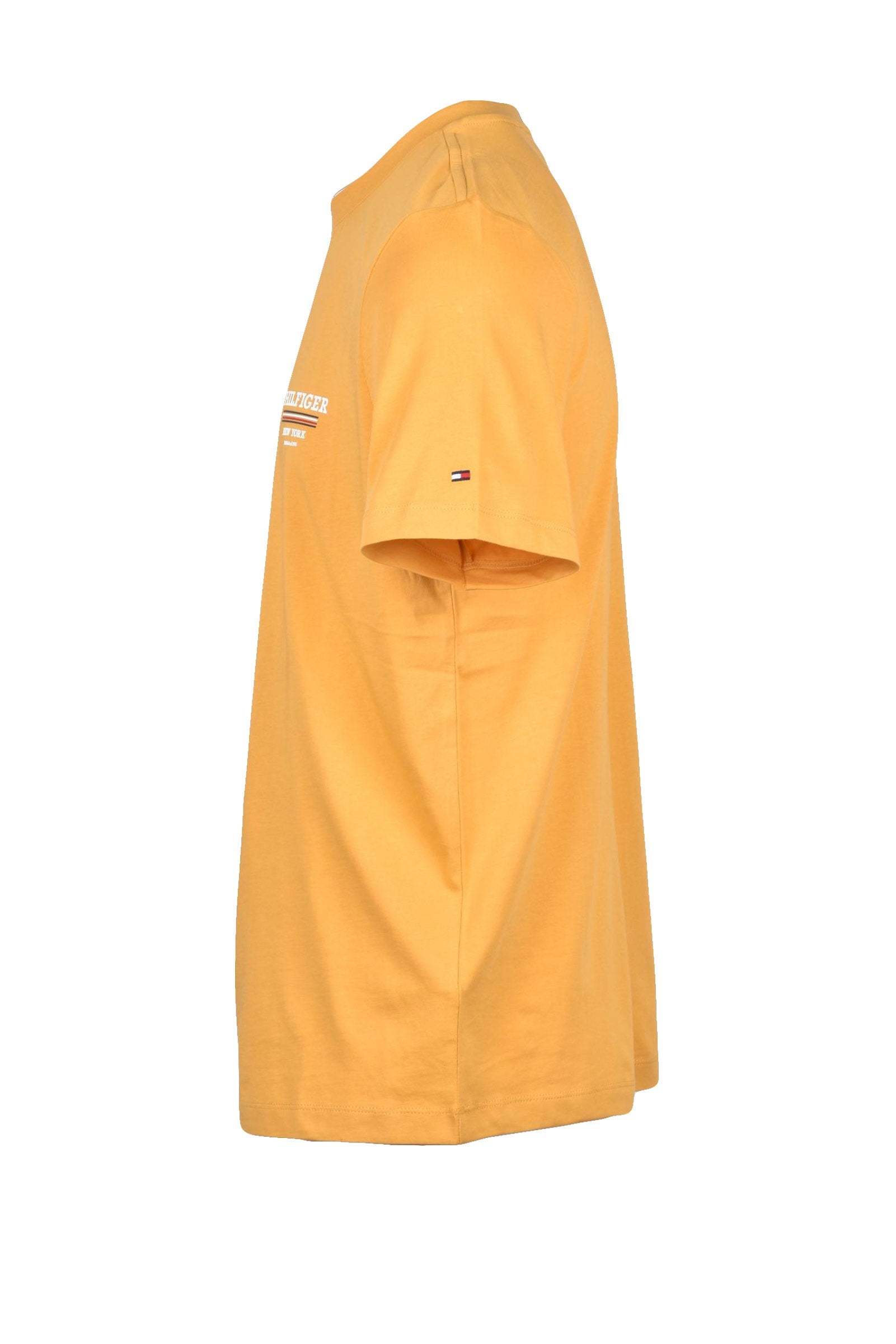 TOMMY HILFIGER - T-SHIRT AND POLO