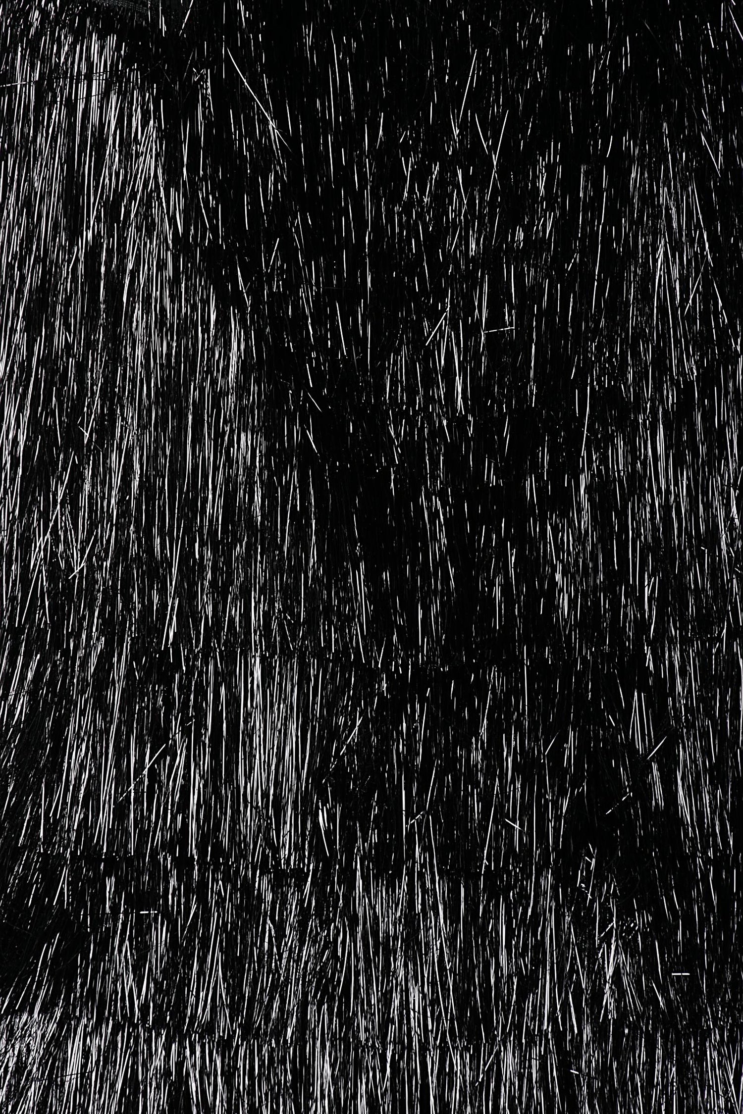 SPORTMAX - KNITWEAR AND SWEATSHIRTS