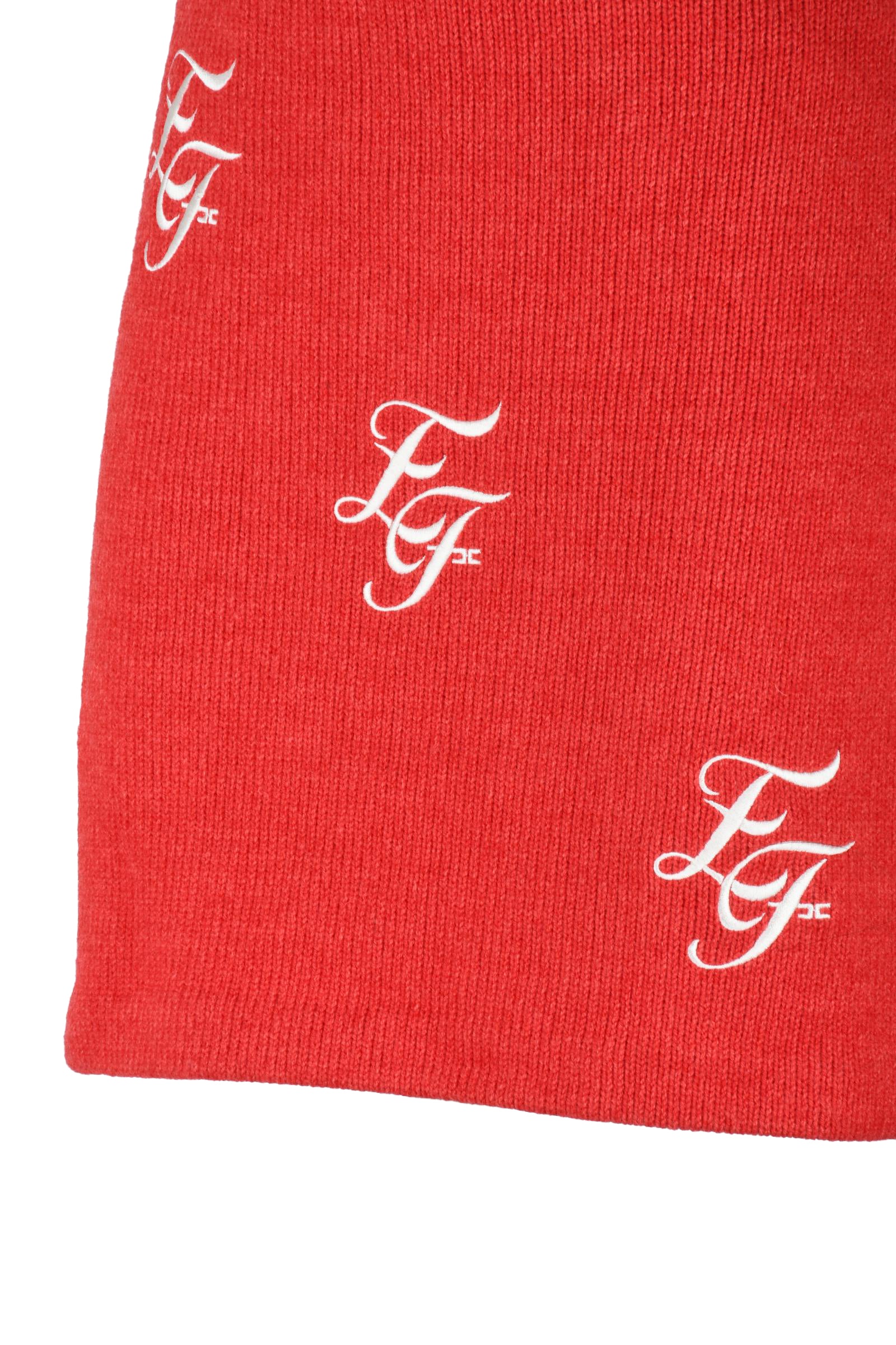 ELISABETTA FRANCHI - SKIRT