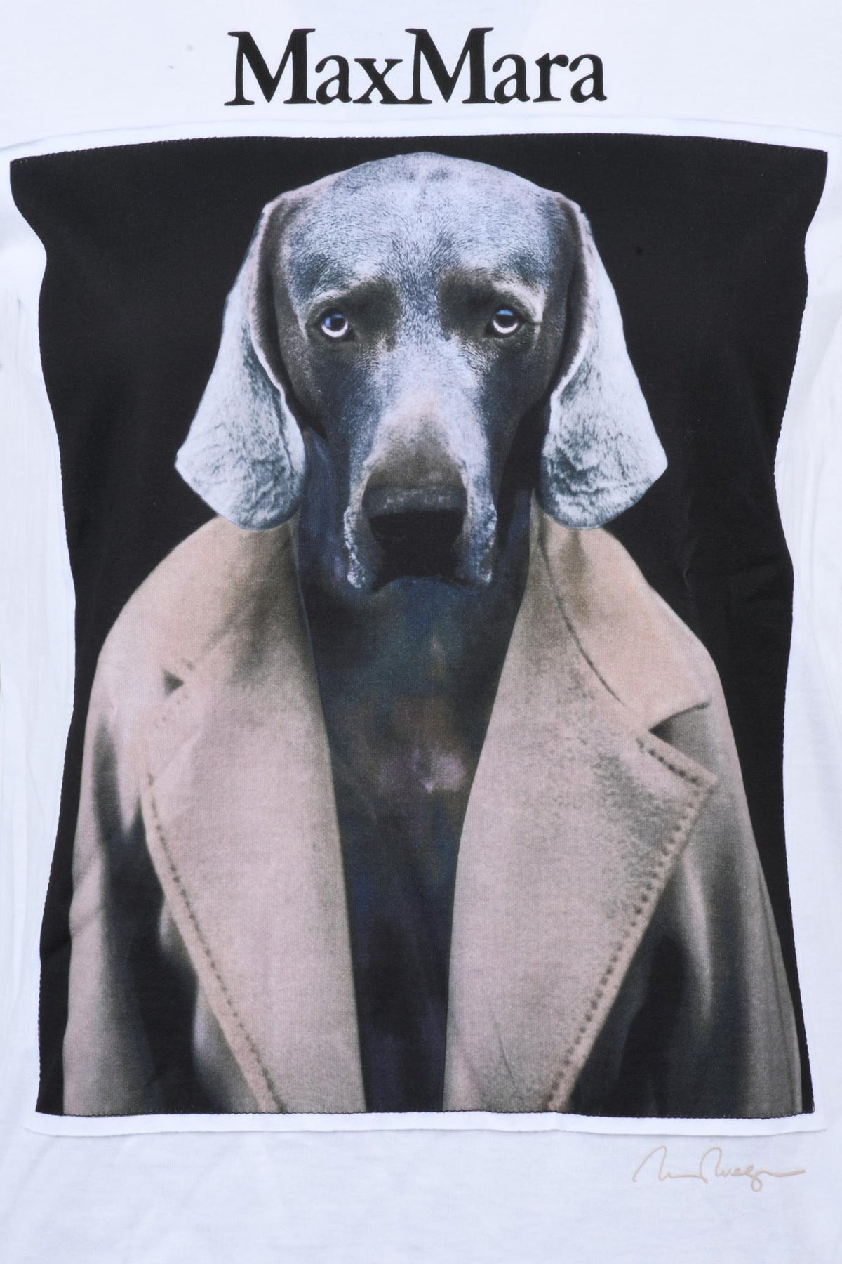 MAX MARA - T-SHIRT AND POLO